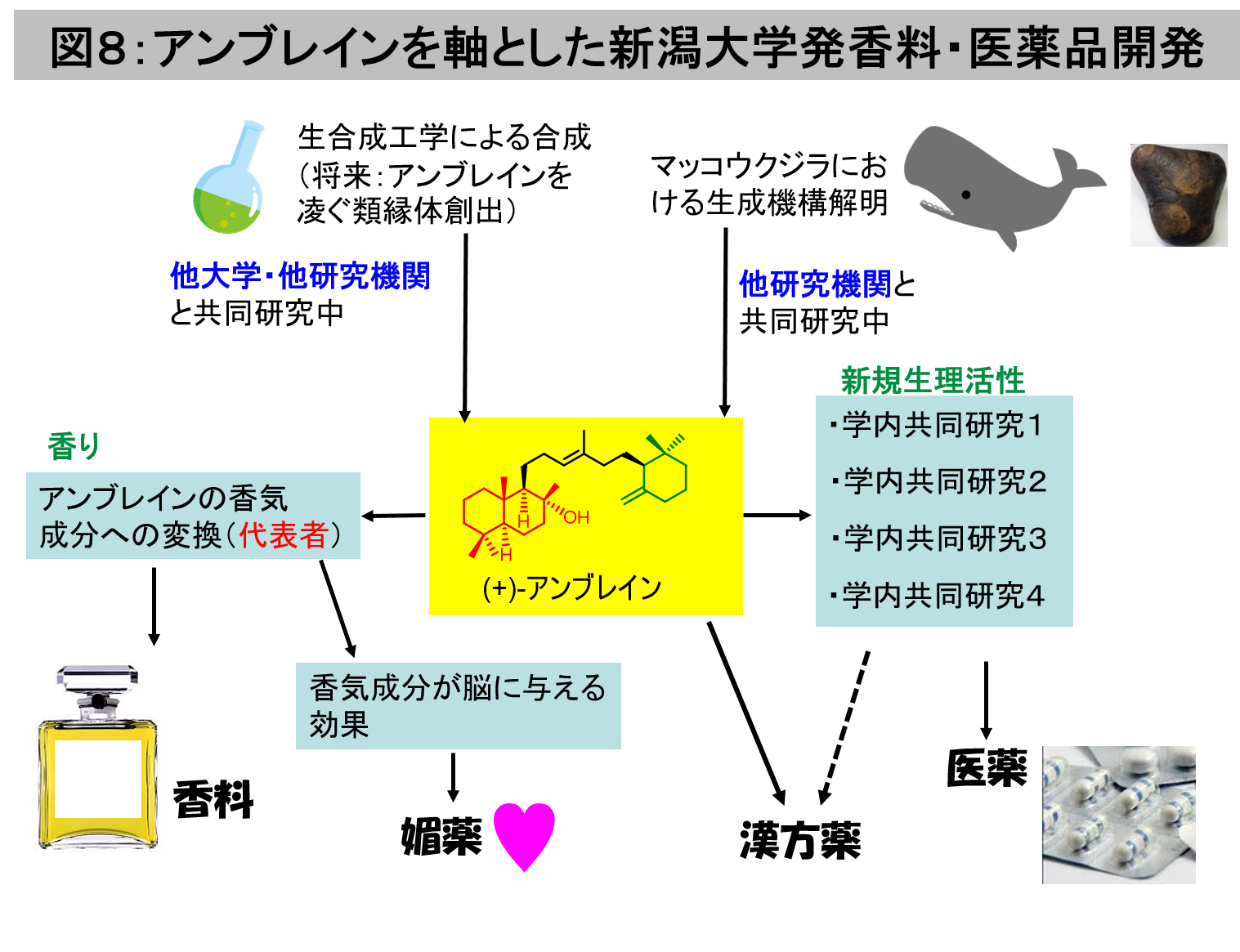 スタッフ