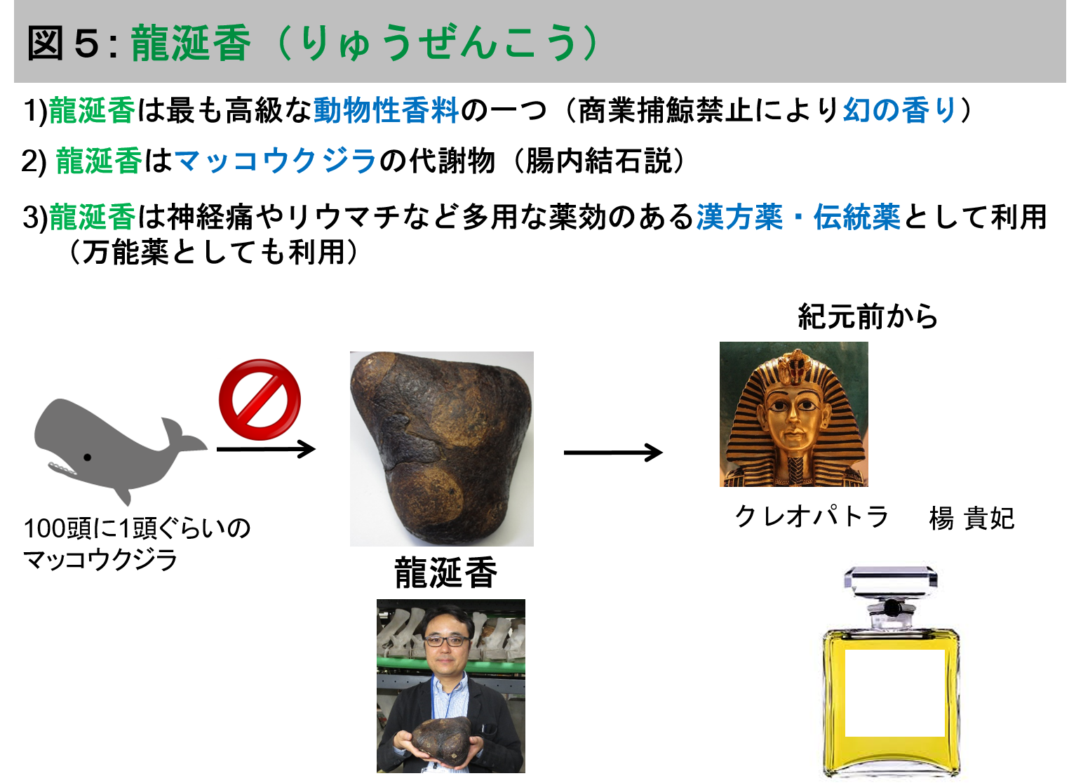 スタッフ