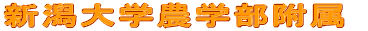 �Q�P���I�̔_�w����E�������R�[�f�B�l�[�g