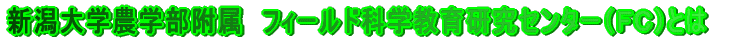 �V����w�_�w�������@�t�B�[���h�Ȋw���猤���Z���^�[�Ƃ�