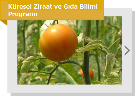 Küresel Ziraat ve Gıda Bilimi Programı