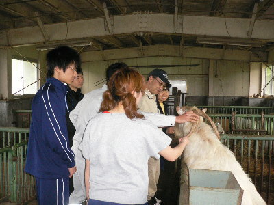 俺の自慢の角にさわるなー!