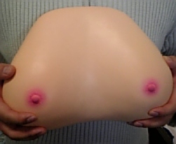 チッチチッチ、おっぱーい、ボイン、ボイ〜ン