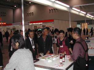 ���܂������ł������Ȃ�