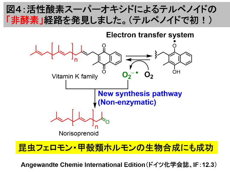 スタッフ