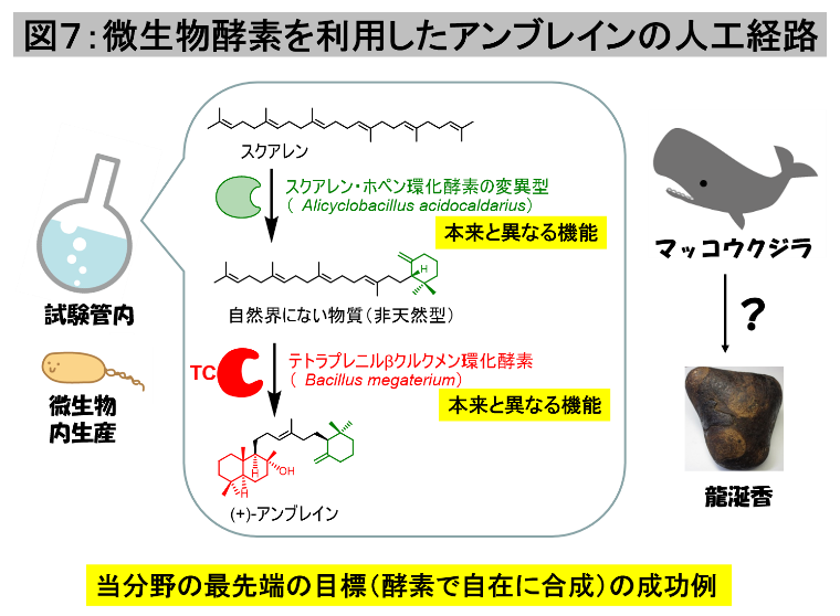 スタッフ