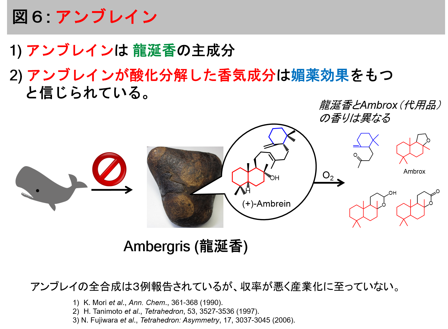 スタッフ
