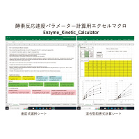 酵素反応速度解析プログラムの開発