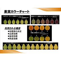 食品・農産物の色評価