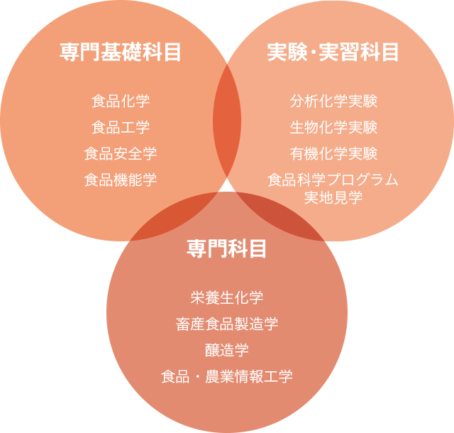 食品科学プログラムの科目概要