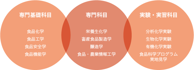 食品科学プログラムの科目概要