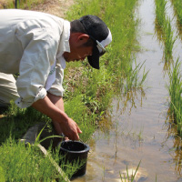 田んぼダムによる洪水対策の研究