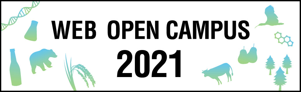 WEB OPEN CAMPUS 2021