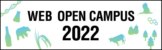 WEB OPEN CAMPUS 2022