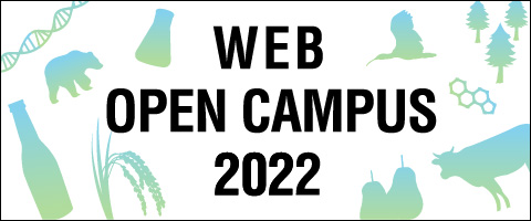 WEB OPEN CAMPUS 2022