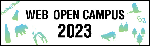 WEB OPEN CAMPUS 2022