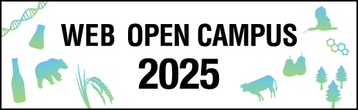 WEB OPEN CAMPUS 2025