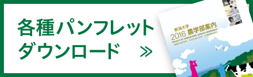 各種パンフレットダウンロード