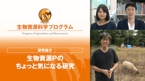 新潟大学 理系 教育〈理系〉理・医・歯・工・農学部 2012.2016.2020 UTokyo-NTU Joint Conference 2022を開催 | 東京大学大学院農学