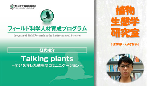 Talking plants －匂いを介した植物間コミュニケーション－