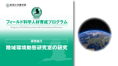 陸域環境動態研究室の研究