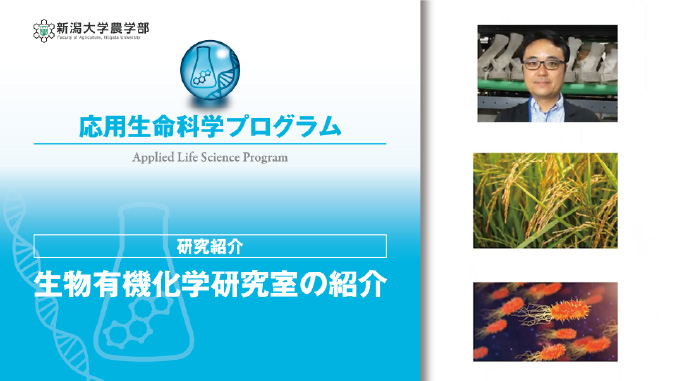 有機化学研究室の紹介