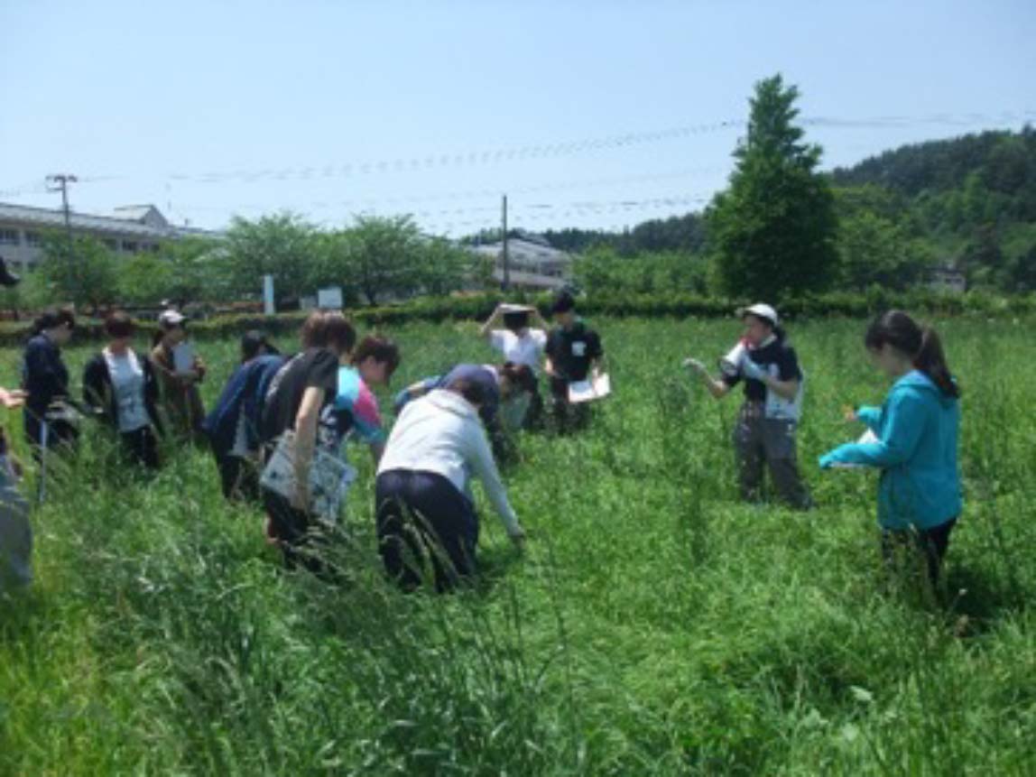 Grass Survey at Muramatsu Station