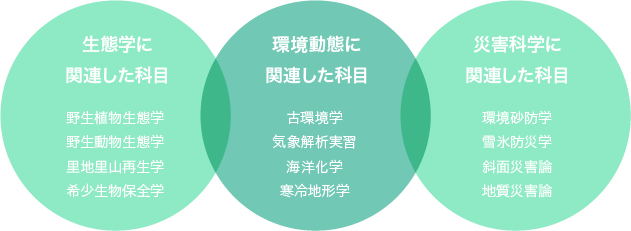 フィールド科学人材育成プログラムの科目概要