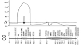 O2で示した横棒は染色体を意味し、遺伝子の並び順を示す。矢印は耐病性遺伝子の位置を示す