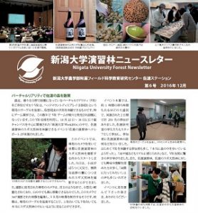 sado-newsletter2