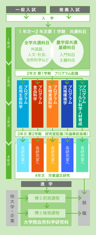 新潟大学農学部 教育課程