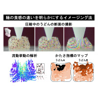 食感の新たな計測法の開発