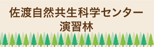 佐渡自然共生科学センター演習林