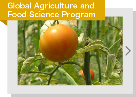 lobal Agriculture and Food Science Program
