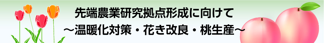 先端農業研究拠点形成に向けて～温暖化対策・花き改良・桃生産～